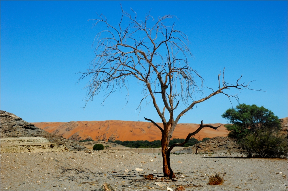 Namib