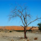 Namib