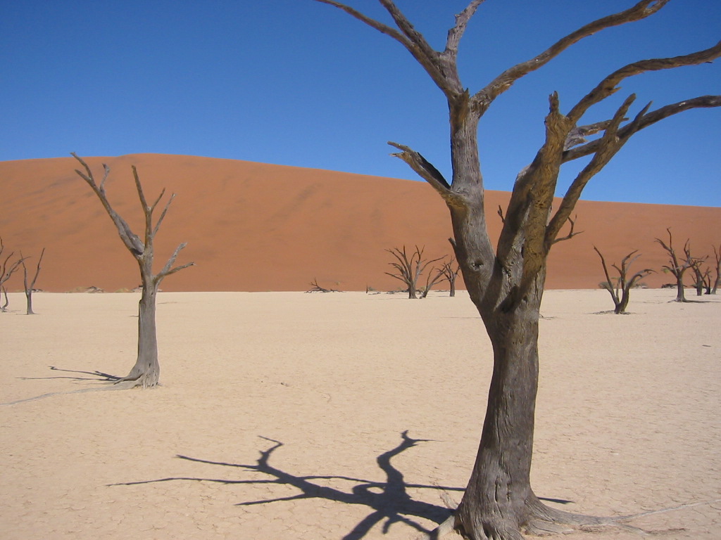 Namib