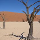 Namib