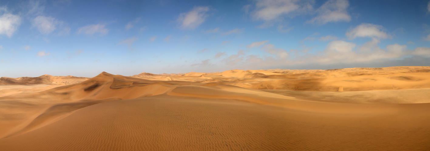 NAMIB