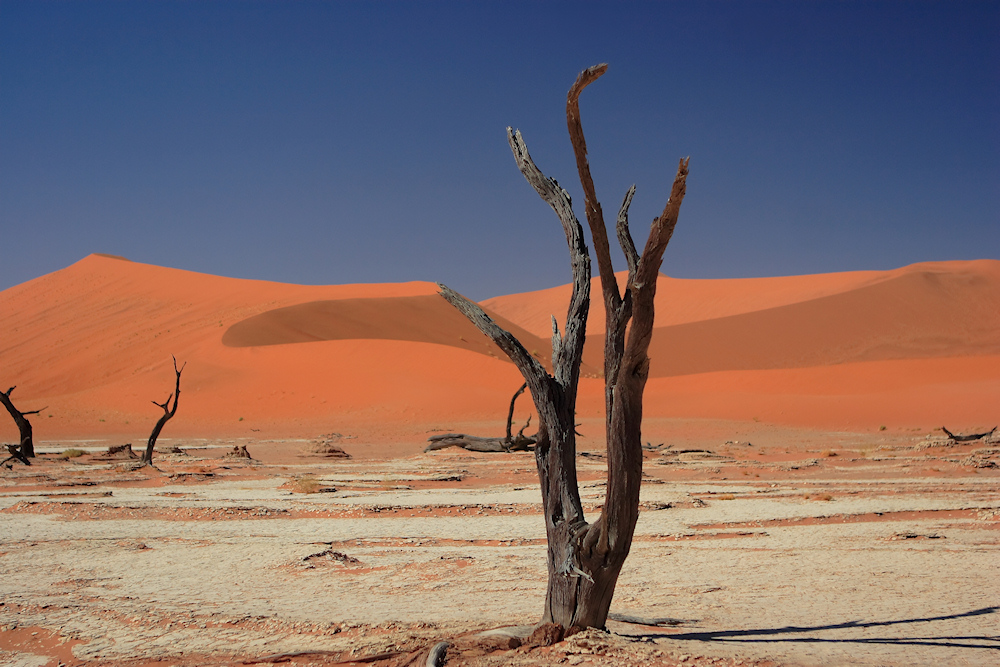 Namib