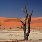 Namib