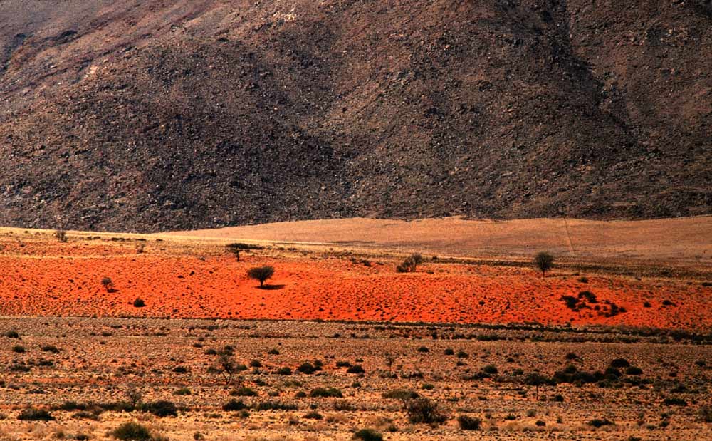 Namib