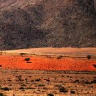 Namib