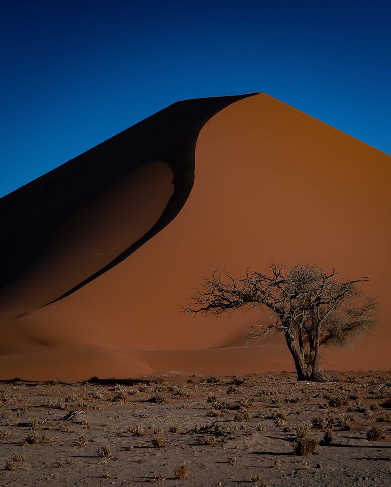 Namib