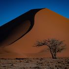 Namib