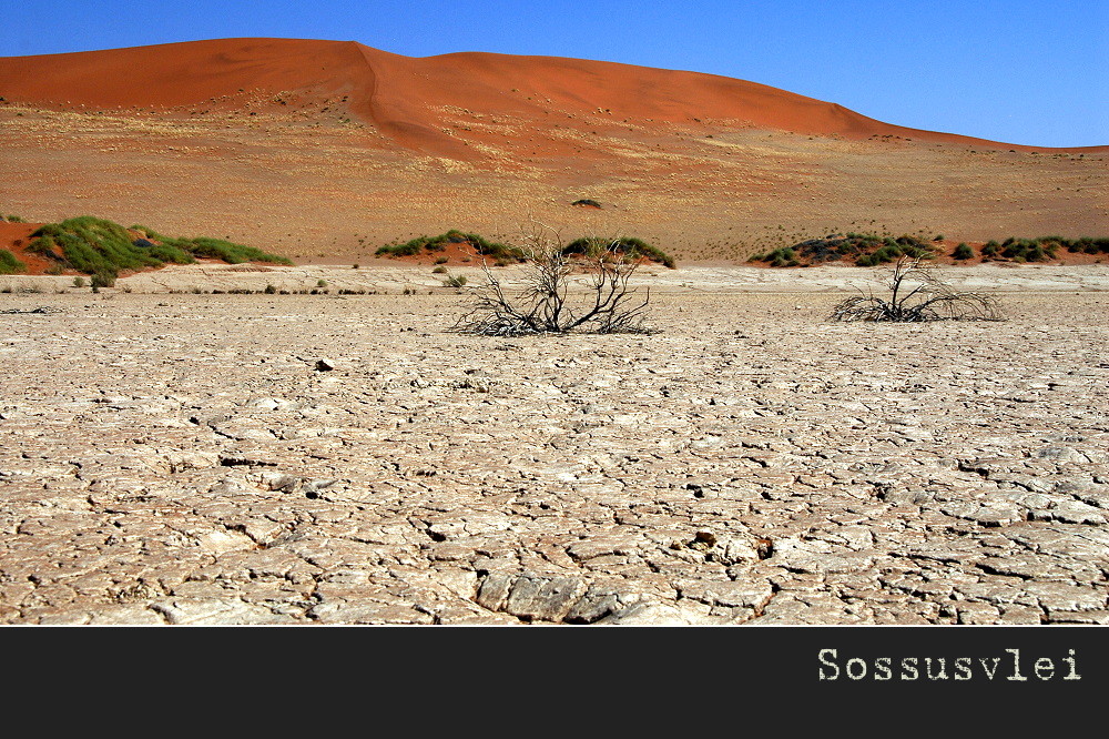 namib