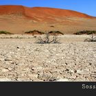 namib