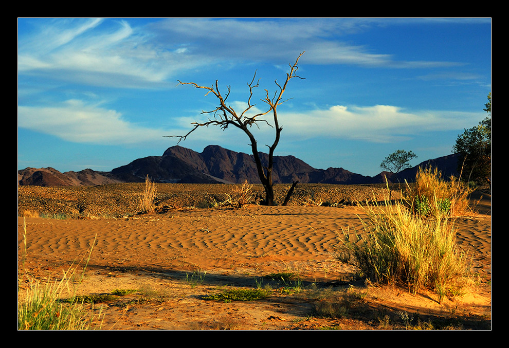 Namib