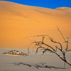 Namib