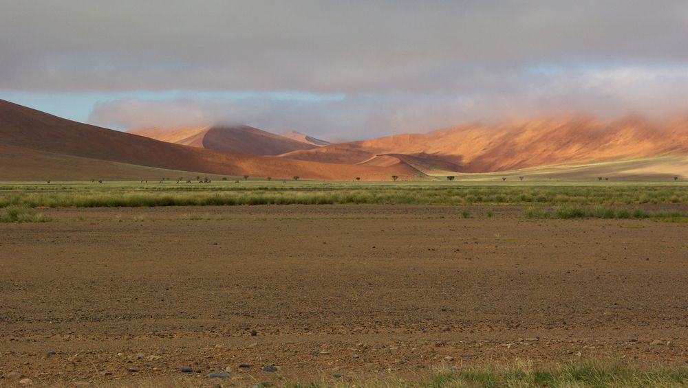 Namib