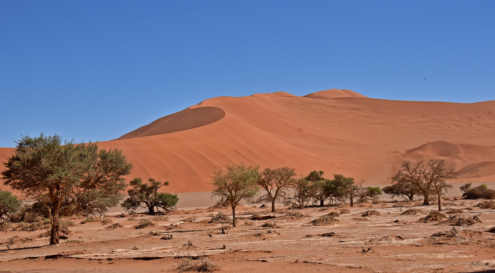 Namib