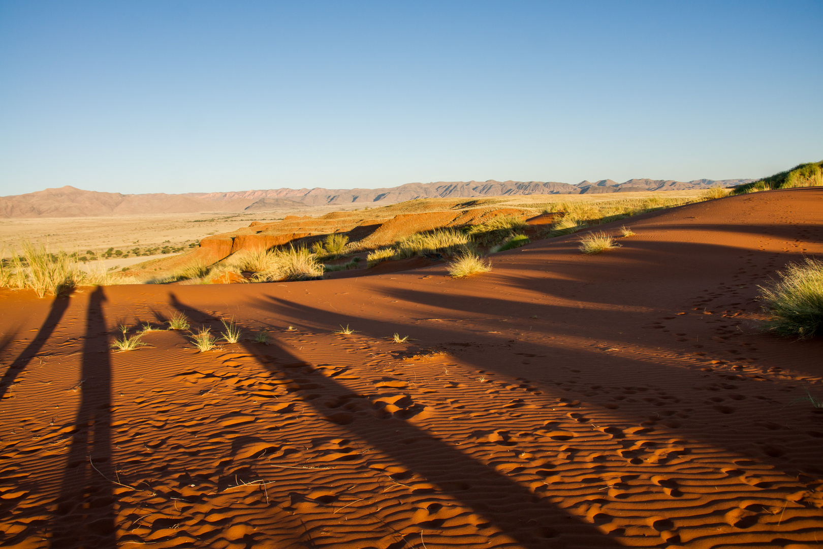 Namib