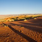 Namib