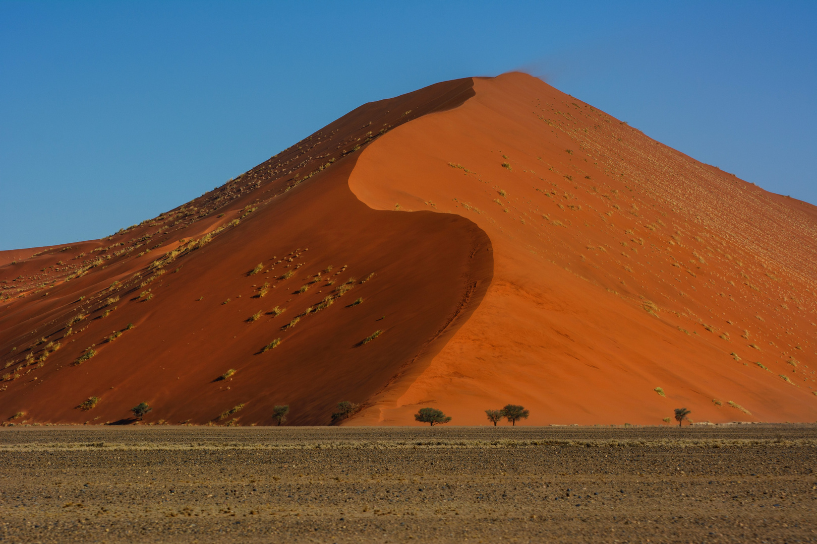 Namib