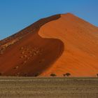 Namib