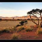 Namib abends
