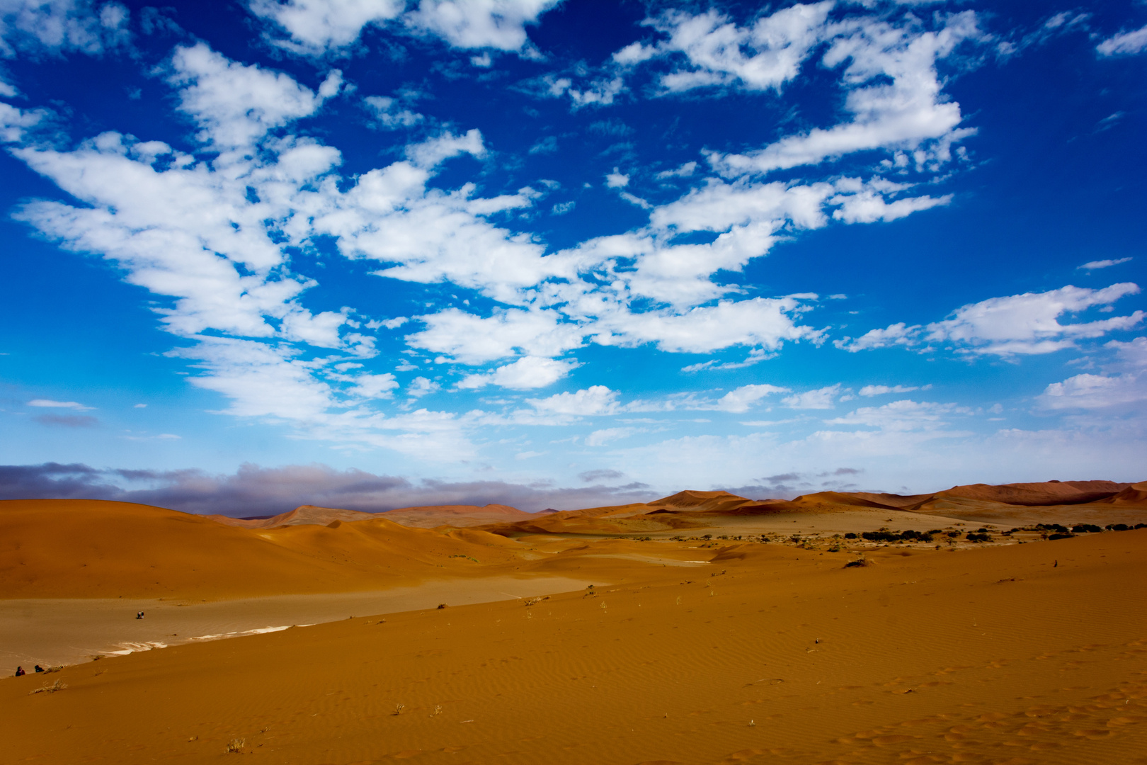 Namib Afrika Namibia Sossusvlei 