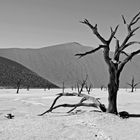 Namib