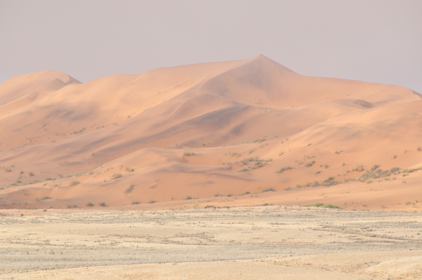 Namib bei Nebel