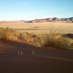 namib bei wolvedans