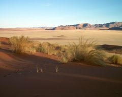 namib bei wolvedans