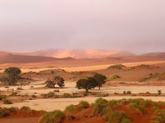 Namib