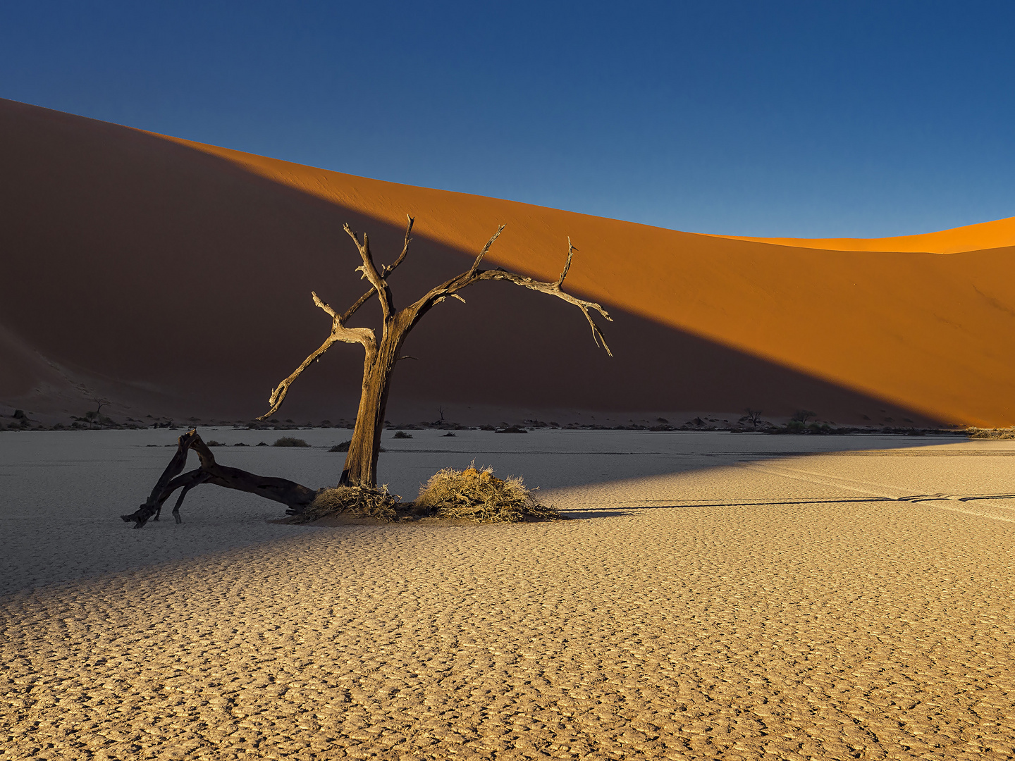 Namib