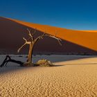 Namib