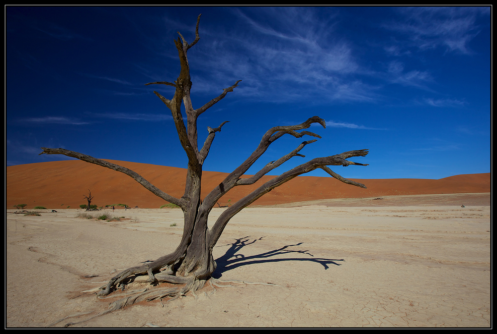 Namib Dead Vlei