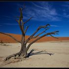 Namib Dead Vlei