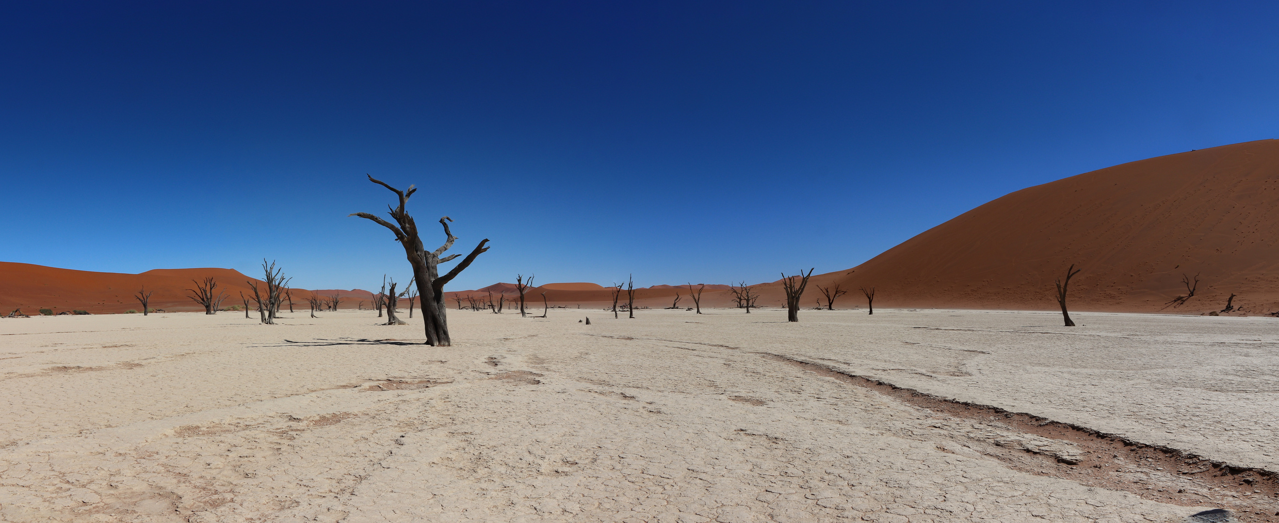 Namib Deadvlei 