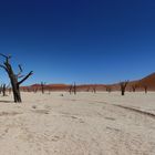 Namib Deadvlei 