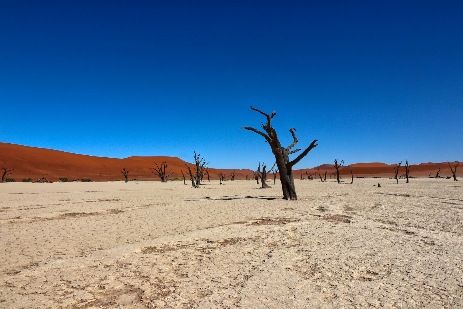 Namib Deadvlei