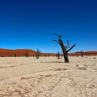 Namib Deadvlei