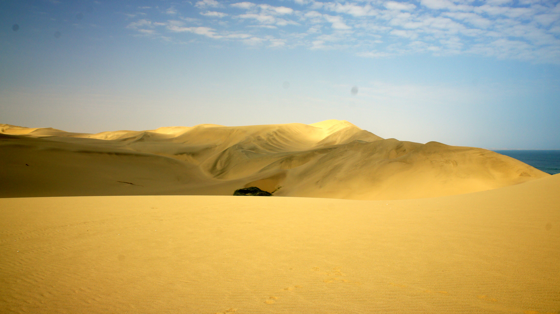 Namib desert