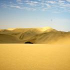 Namib desert