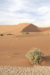 Namib desert