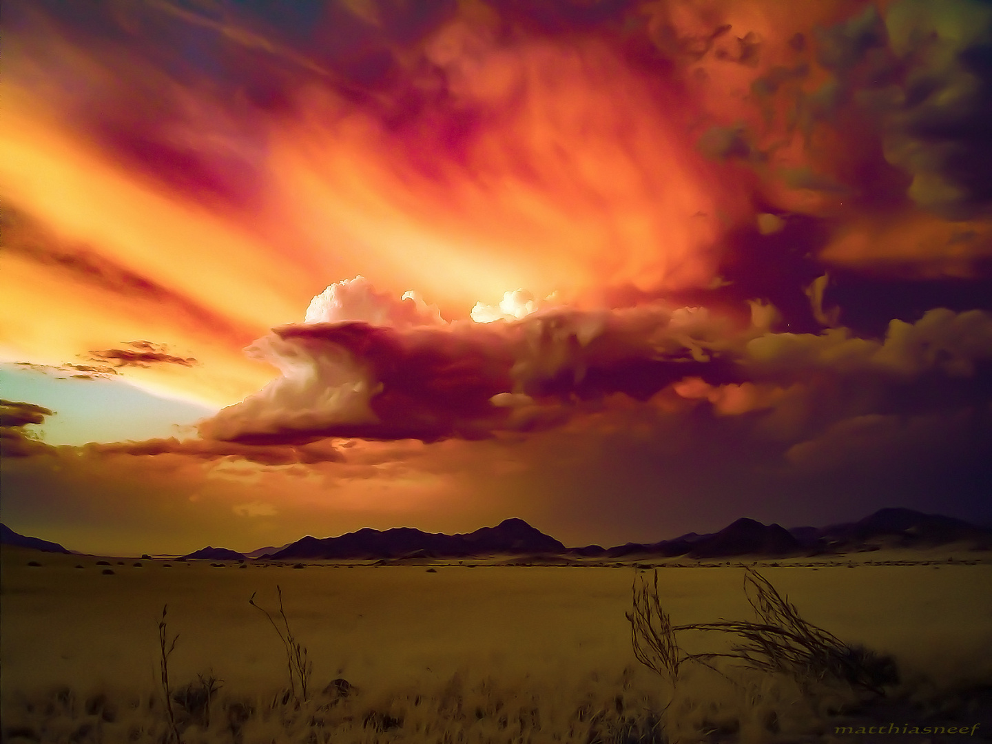 Namib desert