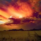 Namib desert