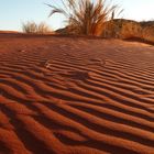 Namib Desert