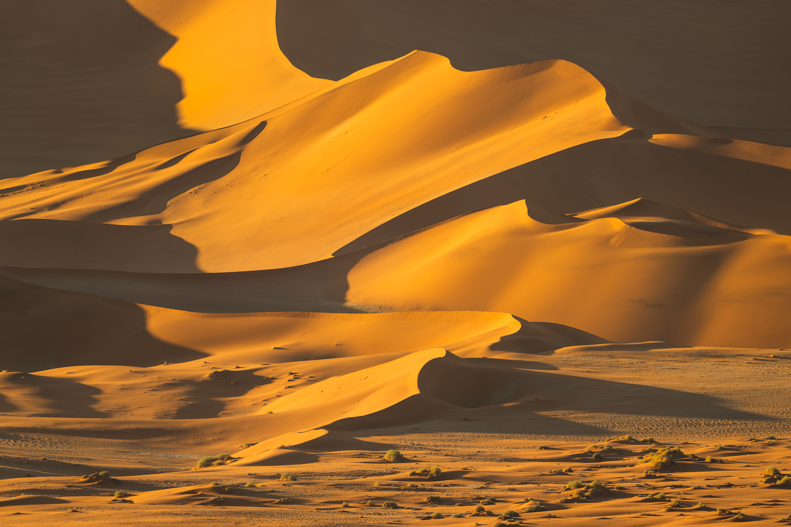 [ ... Namib Desert ]