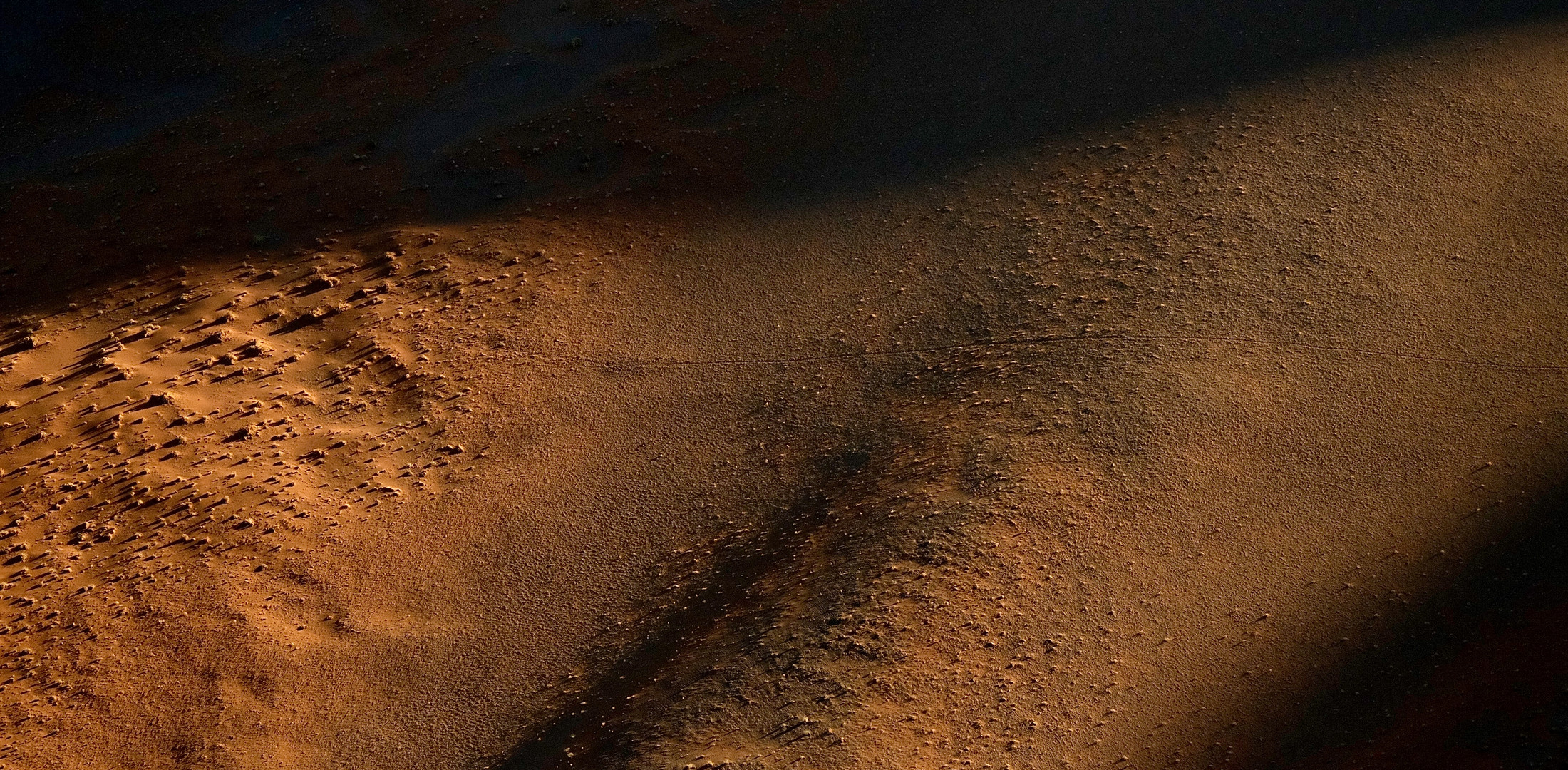 namib desert