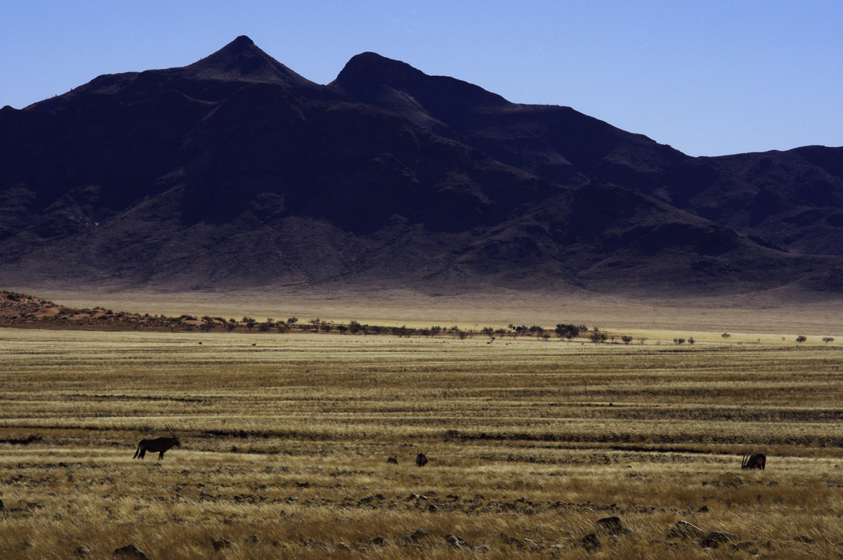 Namib Desert