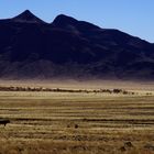 Namib Desert