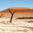 Namib Desert