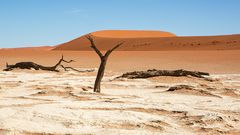 Namib Desert