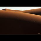 . namib desert .