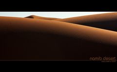 . namib desert .